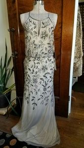 Adrianna Papell  Beaded Long Gown
